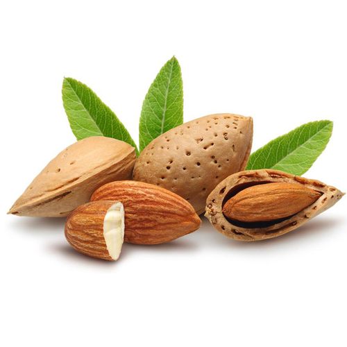 Bitter Almond Oil Bulk Ingredients: Herbal Extract