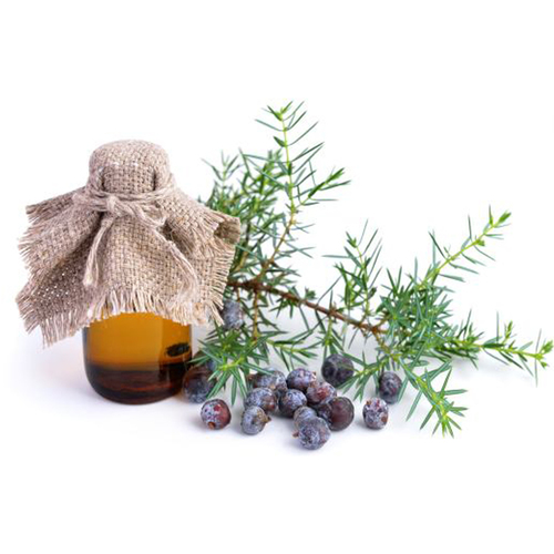 Juniper Oil Bulk Ingredients: Herbal Extract