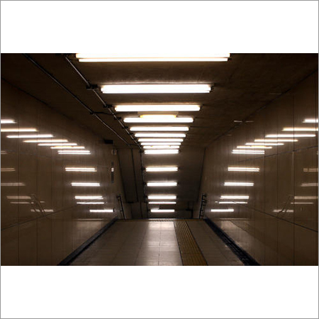 Fluorescent Light
