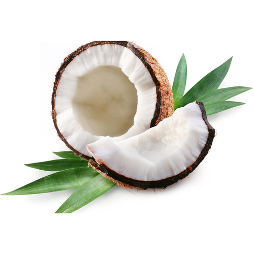Coconut Oil Bulk Ingredients: Herbal Extract