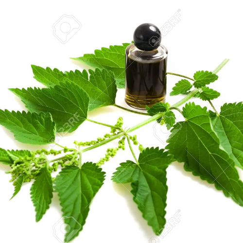 Nettle Oil Bulk Age Group: All Age Group