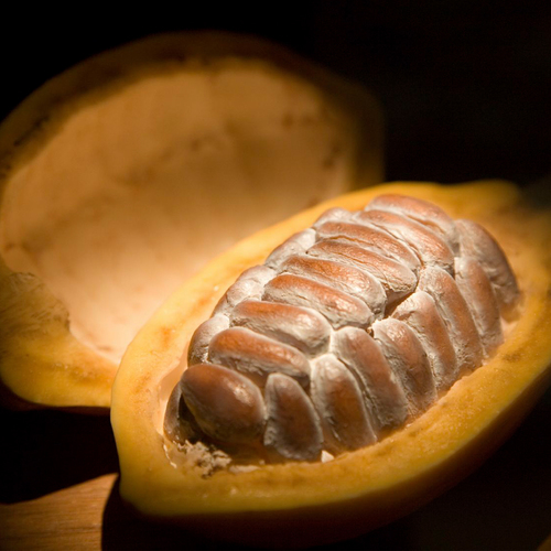 Cocoa Oil Bulk Age Group: All Age Group