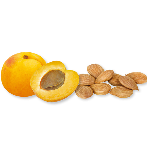 Apricot Kernel Oil - Cold Pressed, Rich in Omega-3 and Omega-6 Fatty Acids | Versatile Skin Moisturizer for All Age Groups, Aromatherapy and Historical Therapeutic Uses