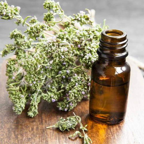 Thyme Oil - OLEUM THYMUS VULGARIS, Natural Herbal Essential Oil for Vapour Therapy and Massage, Supports Respiratory Health and Boosts Entrepreneurial Spirit