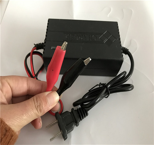 Auranthetic E- bike Charger