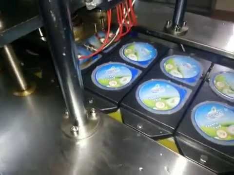 Curd Filling Machine