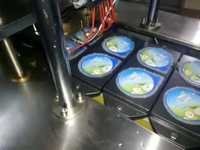 Curd Filling Machine