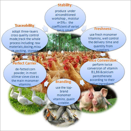 Vitamin Premix for Poultry Vitamin Premix for Poultry