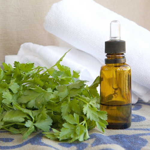 Parsley Seed Oil Bulk Shelf Life: 2 Years