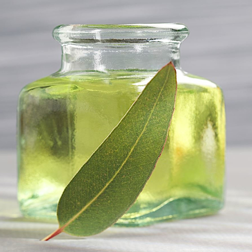 Eucalyptus Oil Bulk - Vapor Distilled, Rich in Cineol | Antiseptic, Reduces Pigmentation, Supports Respiratory Health