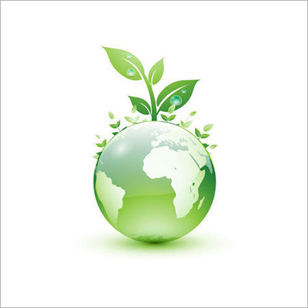 Environmental Services