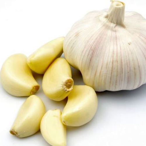 Garlic Oil Bulk Age Group: All Age Group