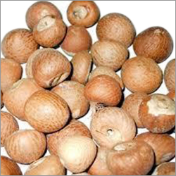 Betel Nut