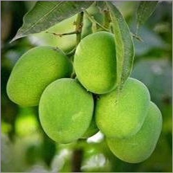 Green Mango