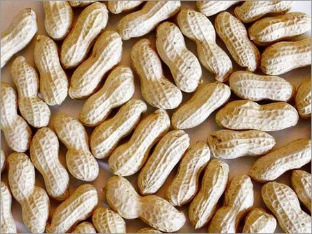 Organic Groundnut