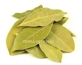 Bay Leaves