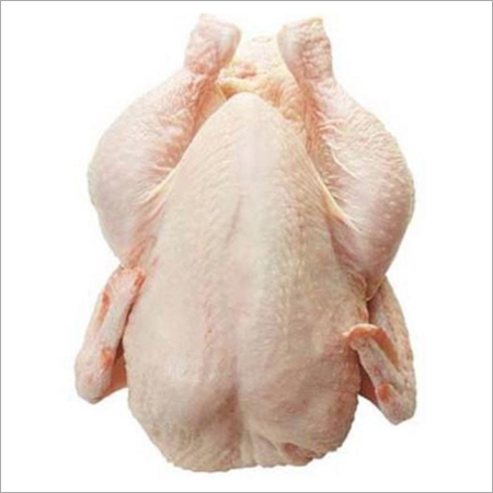 Frozen Chicken