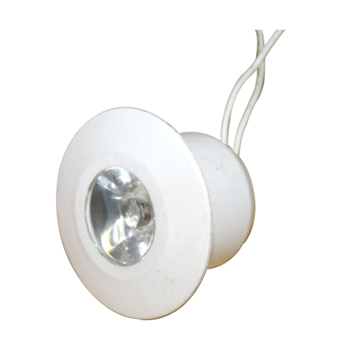 1W EYE BALL LIGHT