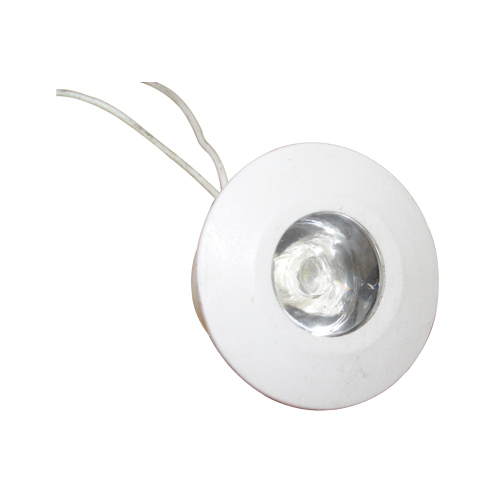 1W-EYE BALL LIGHT