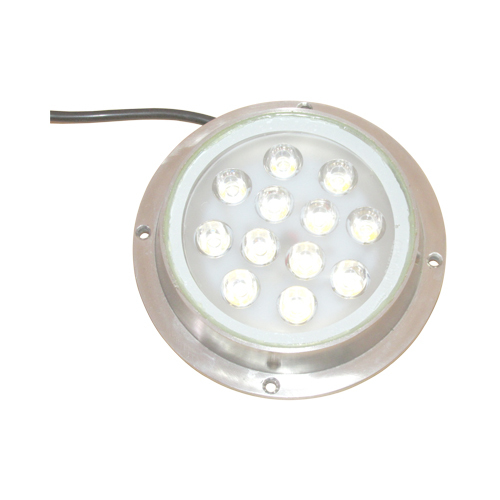 UNDER WATER LIGHT SS 12W 12V