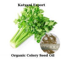 Organic Celery Seed Oil - Apium Graveolens Extract, Detoxifying Liver Support & Digestive Health Enhancer, Non-toxic & Ayurvedic