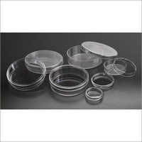 Petri Dish