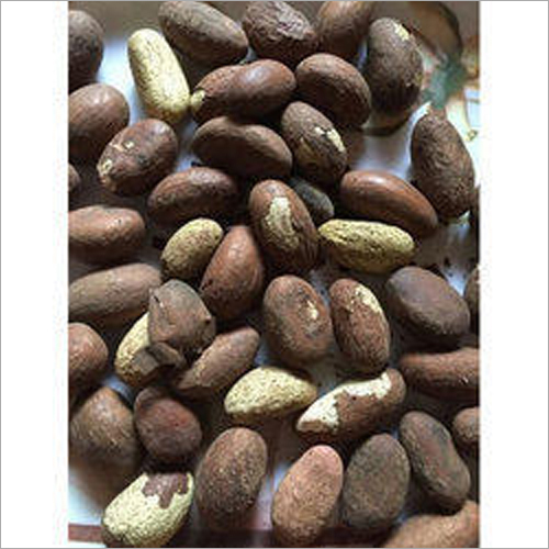 Auricular Dried Seeds