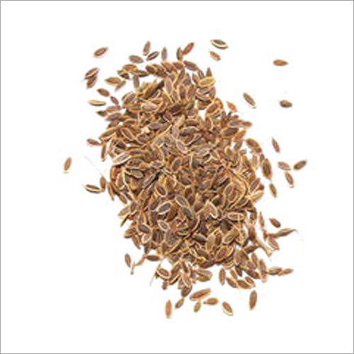 Dill Seeds