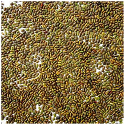 Sesbania Seeds