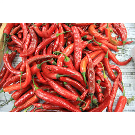 Fresh Red Chilli