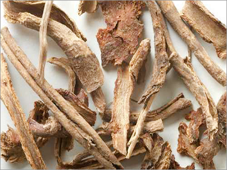Bharangi powder