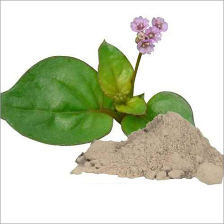 Punaranawa Powder