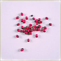 Chanothipan Powder