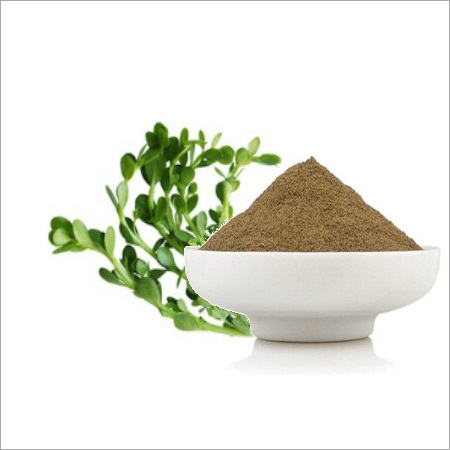 Brahmi Powder - Bacopa Monnieri, Food Grade, 1 Kg Packet | Brown, Nerve Tonic, Mind-Enhancing Benefits