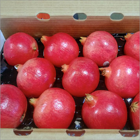 Third party Fruits Procurement