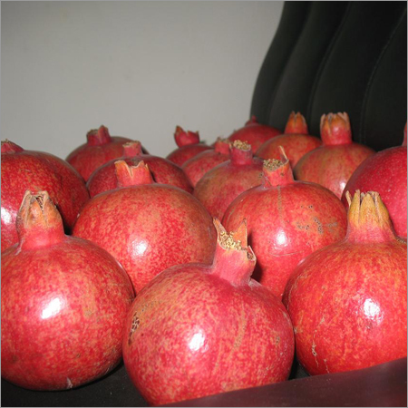 Third Party Pomegranate Procurement