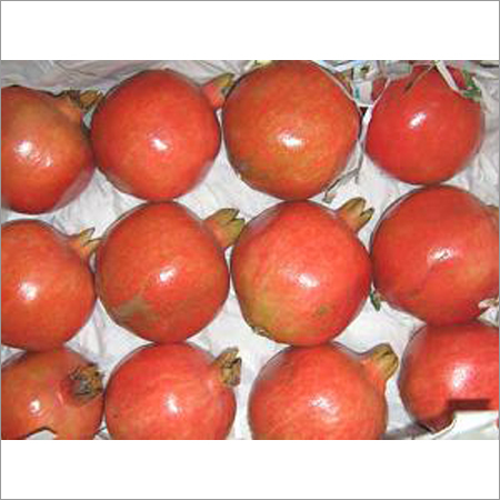Export Quality Pomegranate