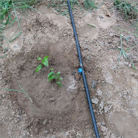 Plant Orchard Maintenance Services