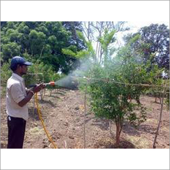 Anar Plantation Inspection Services