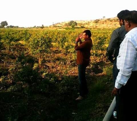 Turnkey Basis Plantation