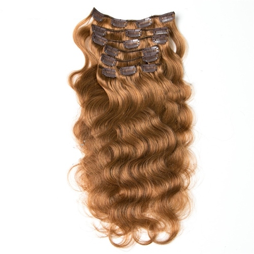 Ombre Chocolate Brown Honey Blonde Clip in Hair Extensions