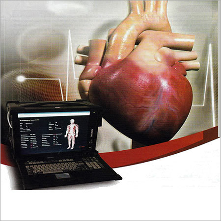 3-D Vasculography