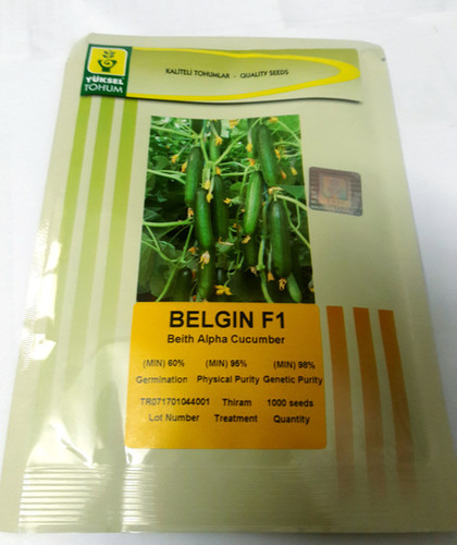 Dark Green Yuksel Belgin F1