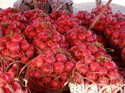 Export Quality Anar