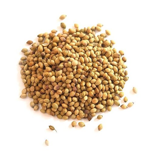 Coriander seeds