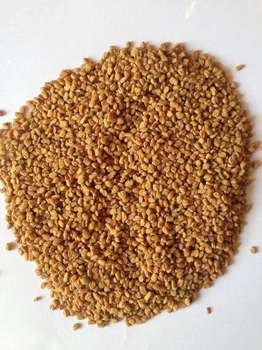 Fenugreek Seeds