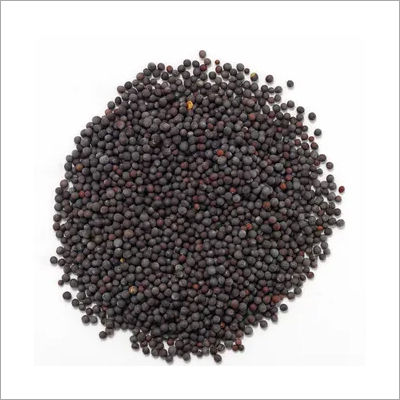 Black Mustard Seeds