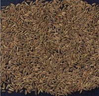 Dill Seeds