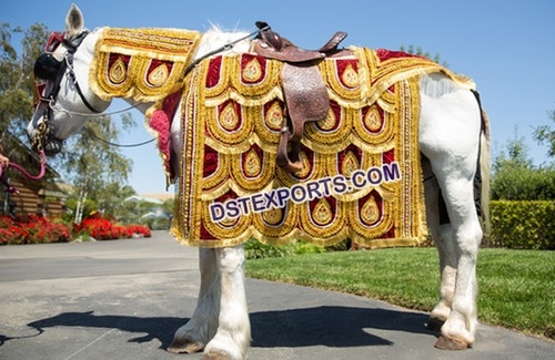 Stylish Horse Decoration Costume