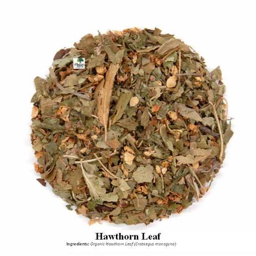 Hawthron Leaf